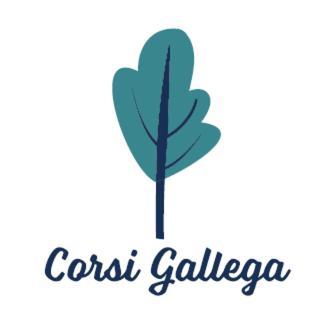 Gite Corsi Gallega Sauzet  Bagian luar foto